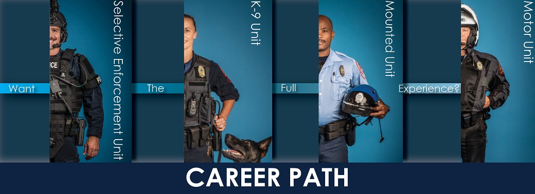 RPD Career Path